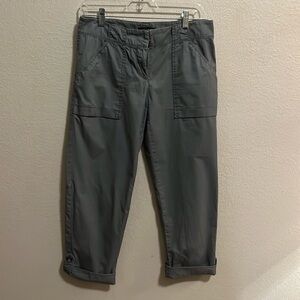 Ann Taylor SZ 2 Cargo Pants